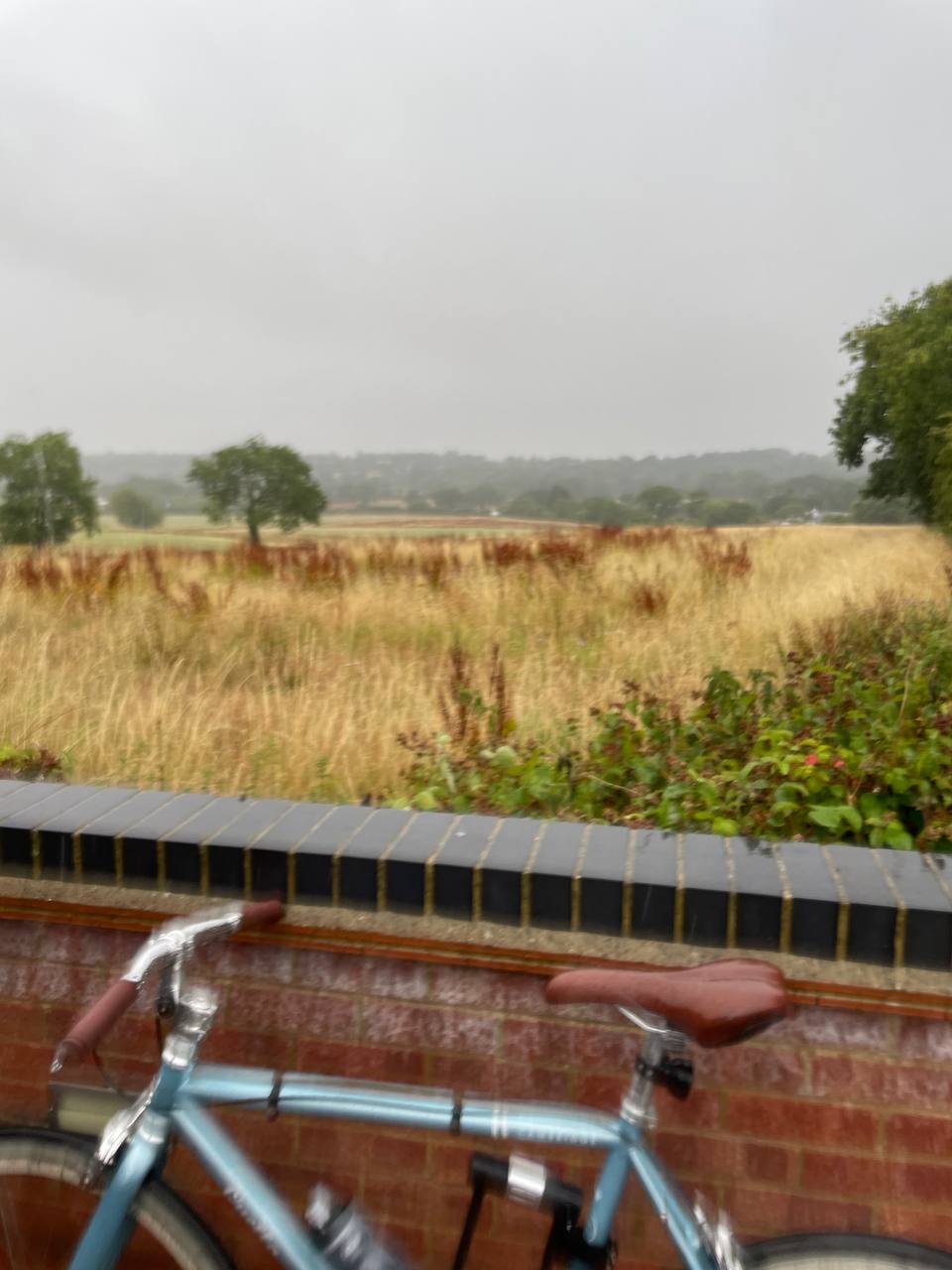 Conquering North London Hills on a Single Speed&nbsp;Bike