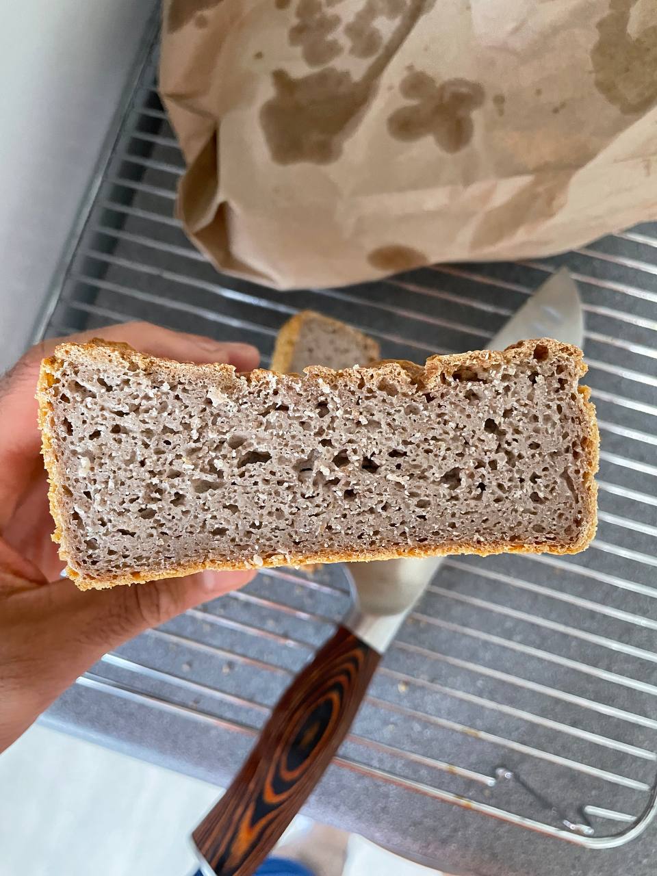 Getting to Know Dusty – Buckwheat She Does Not Like to&nbsp;Eat